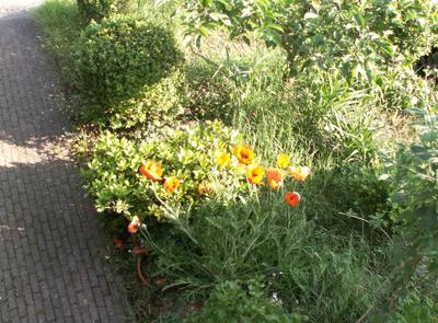 Photo 1 – Taken in the morning Photo 1 – Taken in the morning