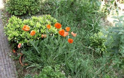 Photo 2 – Taken at noon