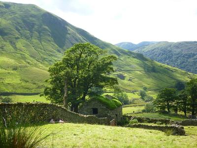 The Lone Stone Cottage
